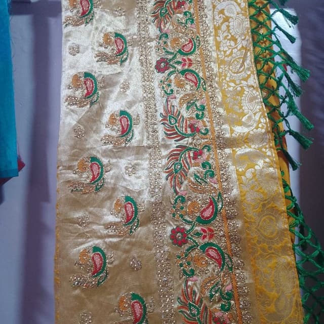 Partywear saree