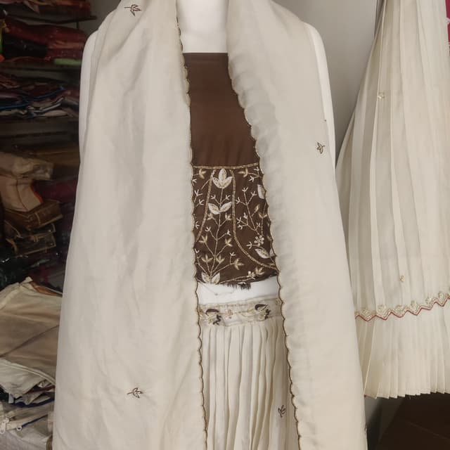 Brown and Off-White Salwar Kameez
