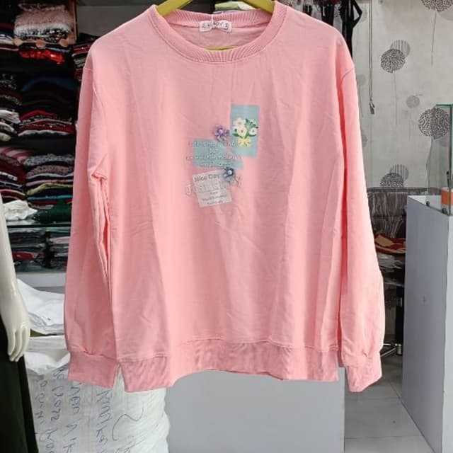 Pink Sweatshirt