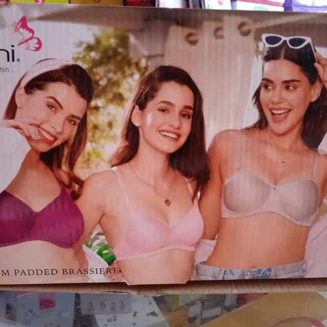 Pink, Purple, Silver Padded Bra